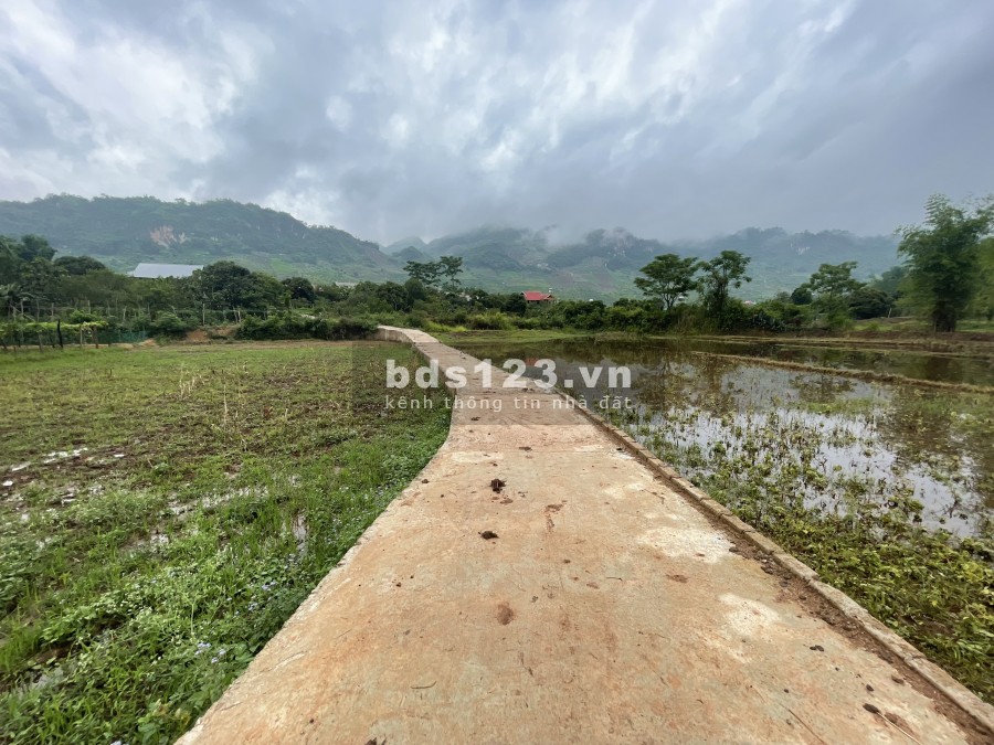 Đừng bỏ lỡ đất nên tuyệt đẹp ngay Mường Sang- Mộc Châu, diện tích 5444m2, vị trí đẹp