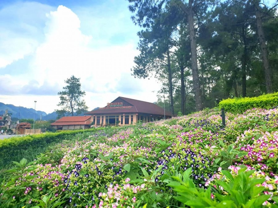 BÁN NHANH 482m2 mặt đường Điện Biên Phủ, Sapa đất nở hậu, tiềm năng tốt