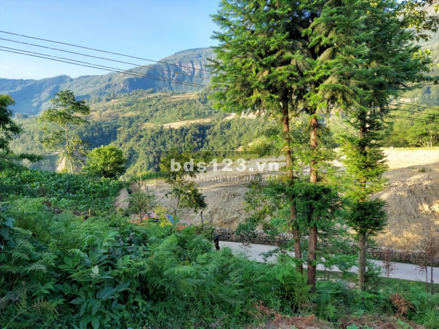 Bán đất Sín Chải-Y Tý(SaPa2) gần suối, view siêu đẹp, giá rẻ, liên hệ 0963359886