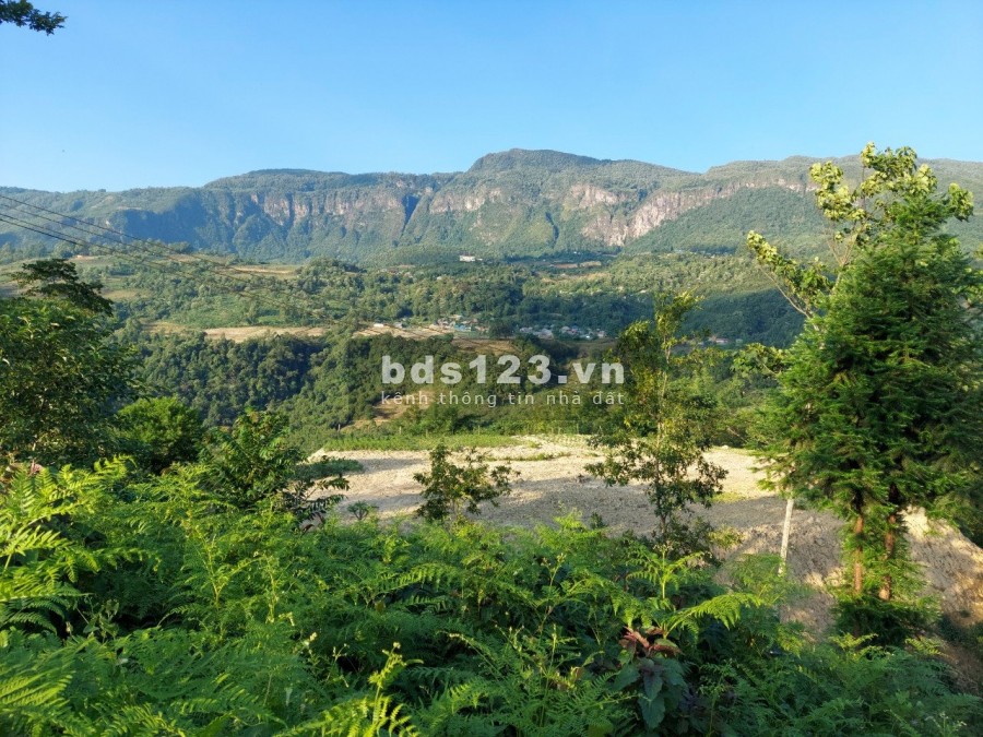 Bán mảnh đất làm Homestay tại Sín Chải Y Tý ( SaPa2) tiện ích đủ, đường vào lớn, sổ sẵn