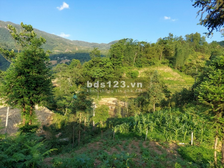 Bán đất Sín Chải-Y Tý(SaPa2) gần suối, view siêu đẹp, giá rẻ, liên hệ 0963359886