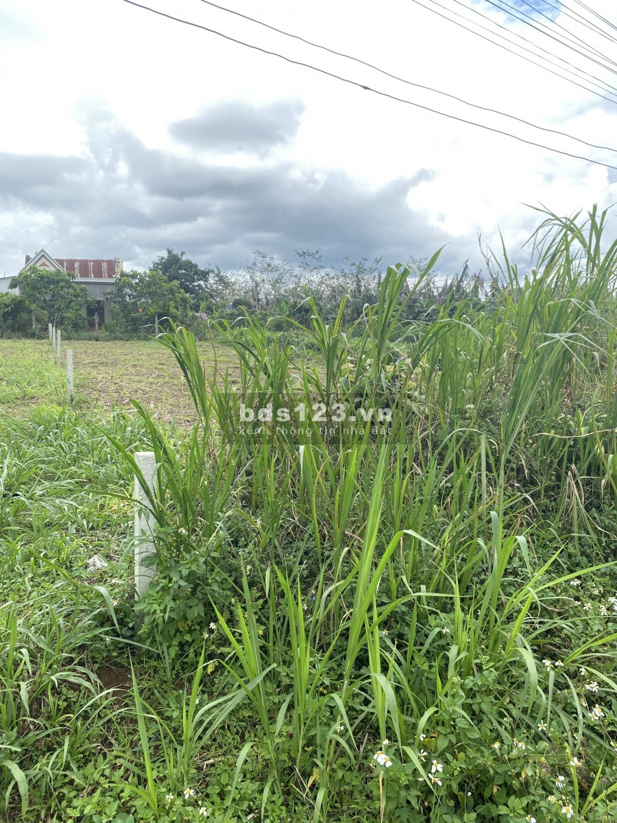 Đất Nền nghỉ dưỡng trung tâm Bảo Lộc giá mùa dịch đường Nguyễn Trường Tộ, sổ sẵn