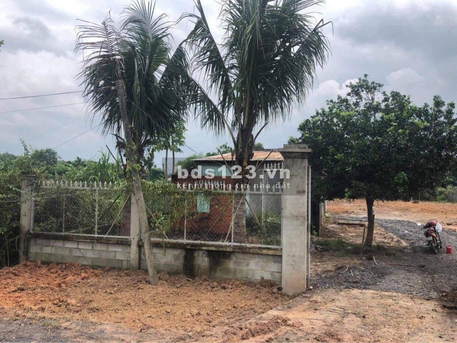 Cần bán đất + nhà vườn 1/ đường Bến Súc xã An Phú Củ Chi có sẳn vườn cây ăn trái DT 1700m2