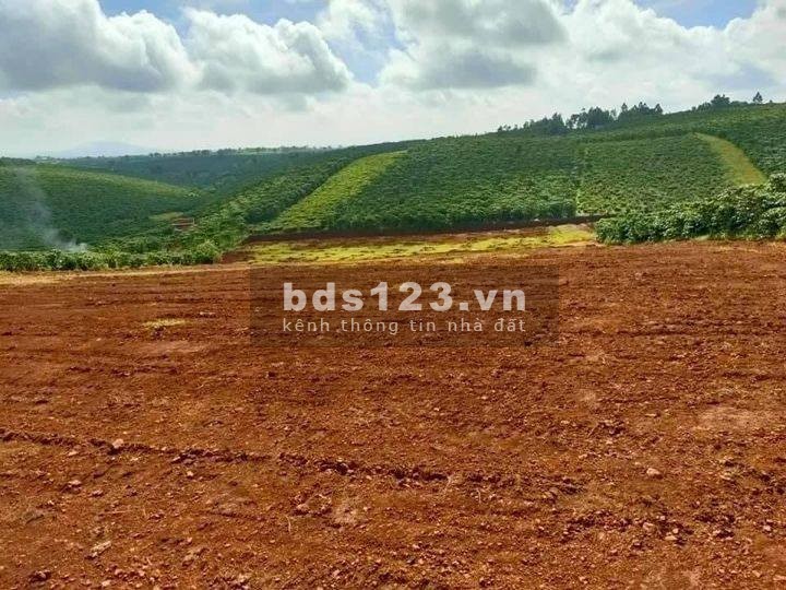Bán nhanh lô đất diện tích 528m2 gần bên cạnh Thác Voi, Lâm Hà giá 625 triệu, sổ sẵn
