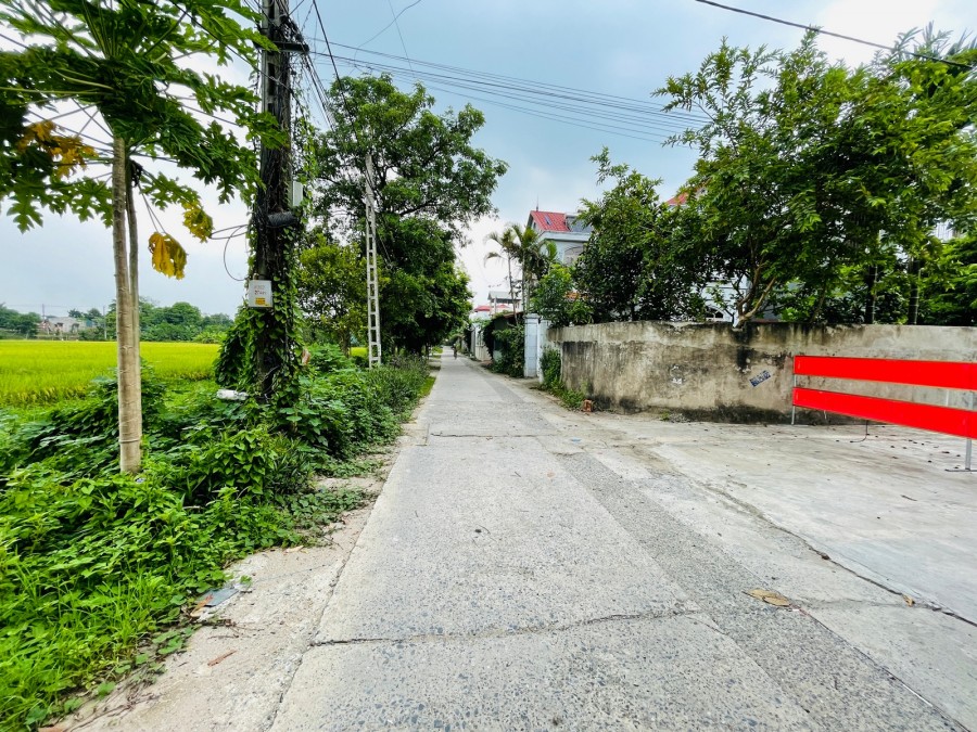 Bán đất bìa làng Lộc Hà - Mai Lâm, quy hoạch đường 30m, đường dẫn lên cầu Tứ Liên.
