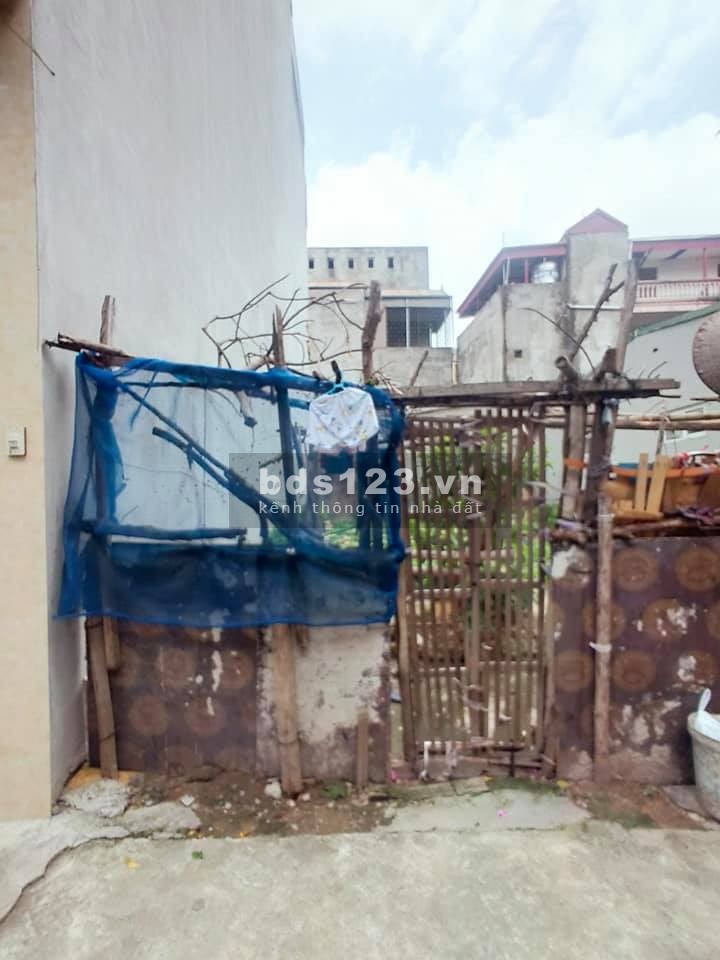 Bán gấp Siêu Phẩm Ngọc Trì Long Biên dt 48m2 đất phân lô ngõ thông ô tô đỗ chỉ hơn 2 tỷ.