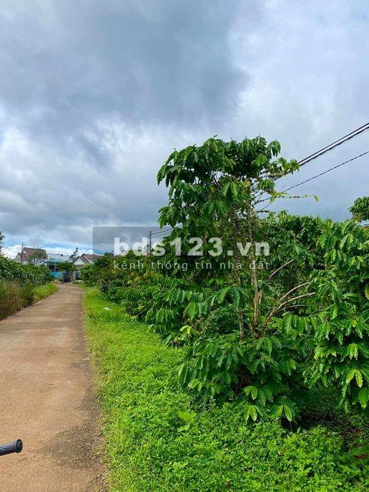Bán nhanh lô đất diện tích 528m2 gần bên cạnh Thác Voi, Lâm Hà giá 625 triệu, sổ sẵn