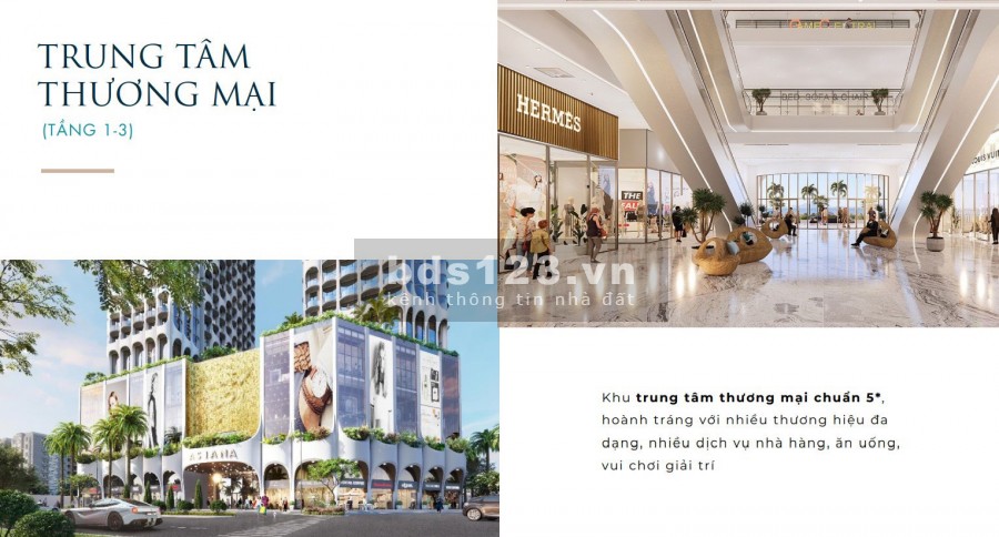 Căn hộ cao cấp view biển Đà Nẵng sở hữu lâu dài, giá gốc từ CĐT, nhận Booking ưu tiên 50tr/căn