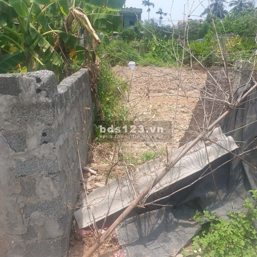Bán đất Thanh Văn, Thanh Oai ô tô vào nhà, gần vành đai 3.5 và 4, 45m2 giá chỉ 650triệu