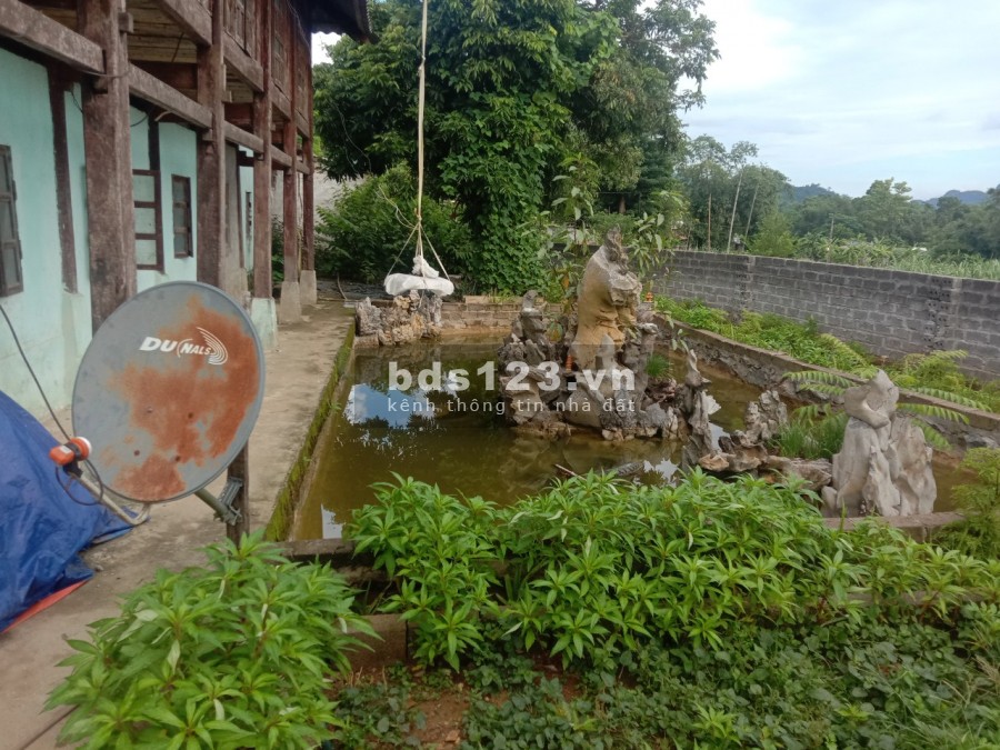Bán lô đất đẹp diện tích 1500m2 Tân Lạc nhà sàn non bộ, chỉ 4xx triệu, liên hệ 0833066663