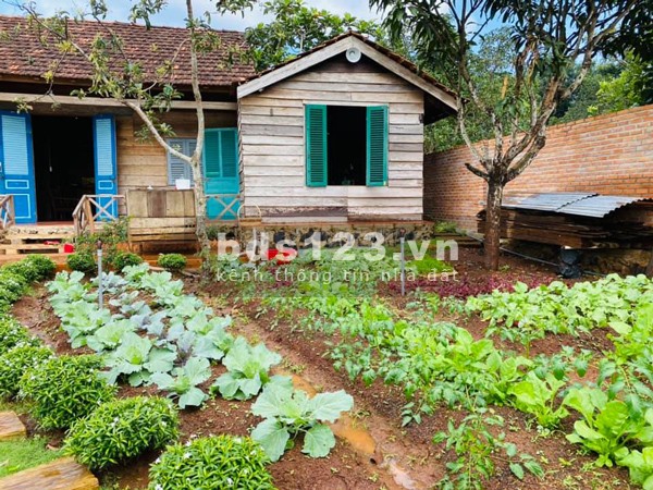 Chính chủ cần bán lô đất gần 1000m2 giá 100tr/m đất ở gần KCN Minh Hưng 3 Chơn Thành Bình Phước