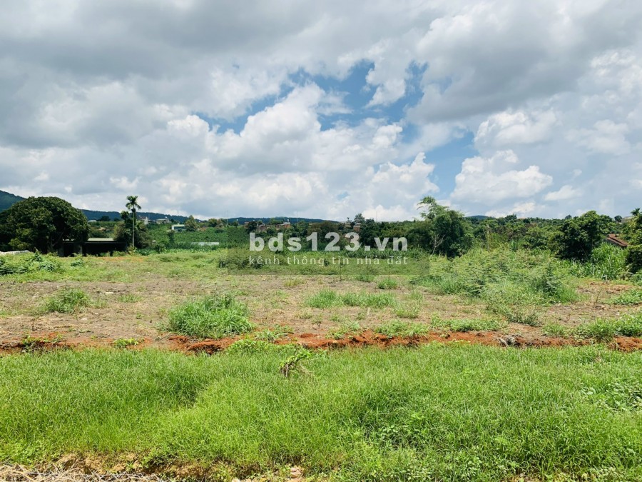 Đất thị trấn Nam Ban Cách Đà Lạt 15km , ôm suối cam ly thổ cư sổ riêng khu dân cư đông