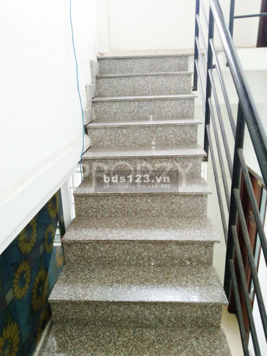 Cho Thuê Nhà Nguyên Căn 1 Trệt 1 Lửng 2 Lầu Có Tầng Hầm Mặt Tiền Đường Số Phường Tân Quy Quận 7