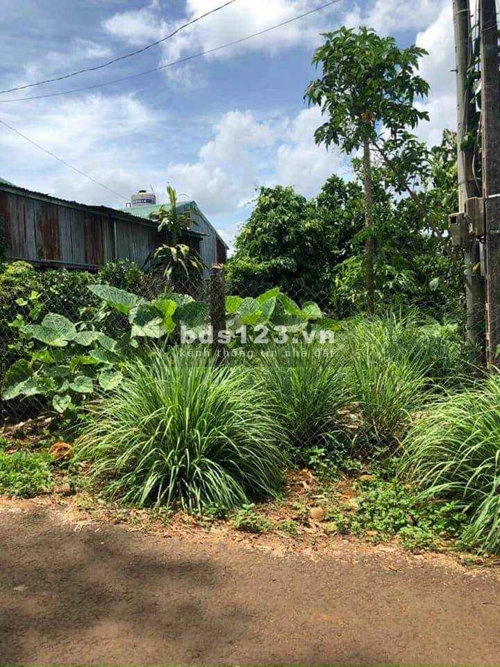 Đất gần trung tâm khu 6 Bảo Lộc, đường lớn, xe vào tận đất, liên hệ 0326502787