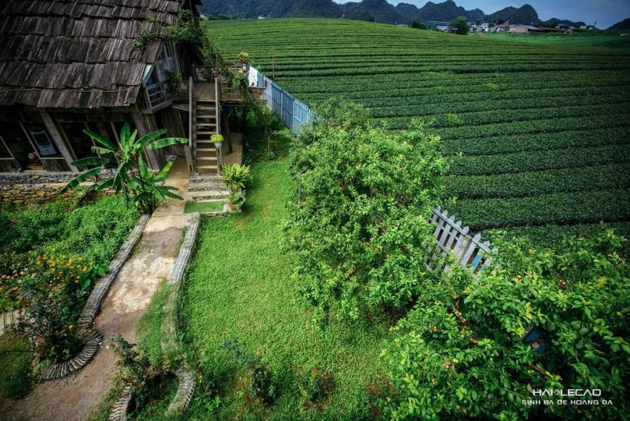 Cần bán mảnh đất siêu rộng siêu đẹp, siêu rẻ thôn Bản Lùn, Mường Sang, Mộc Châu