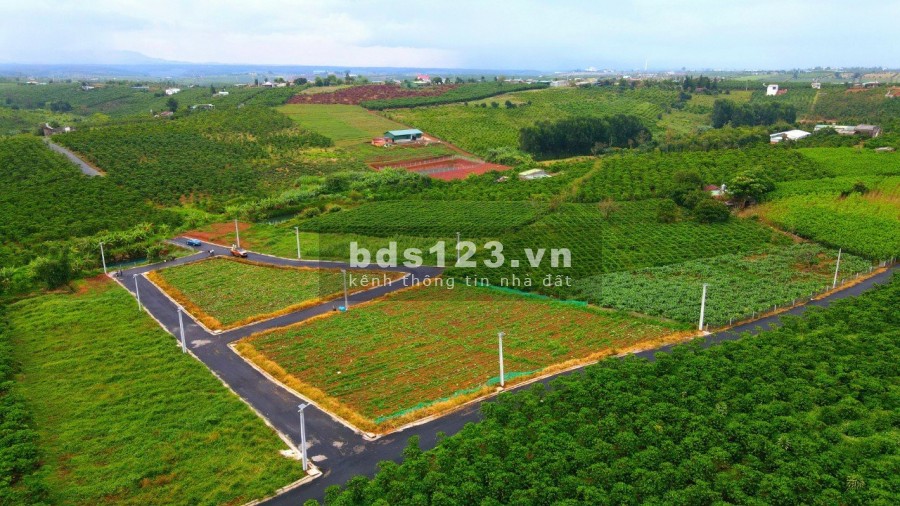 Đất nền thành phố Bảo Lộc diện tích 200m2 thổ cư, liền kề cao tốc giá bán chỉ từ 5tr/m2