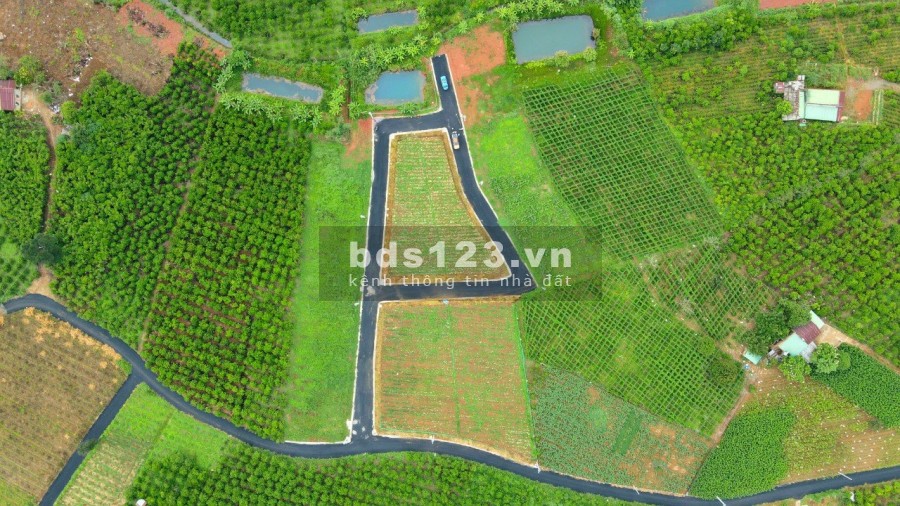 Đất nền thành phố Bảo Lộc diện tích 200m2 thổ cư, liền kề cao tốc giá bán chỉ từ 5tr/m2