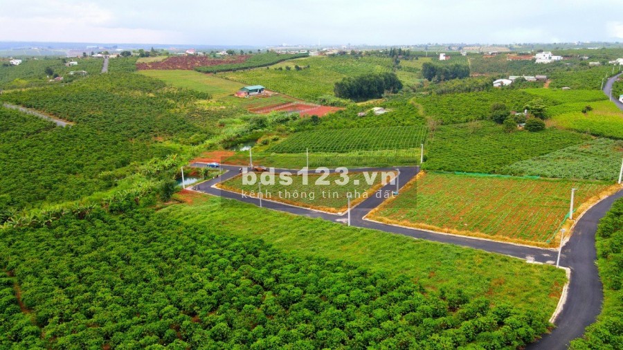Đất nền thành phố Bảo Lộc diện tích 200m2 thổ cư, liền kề cao tốc giá bán chỉ từ 5tr/m2