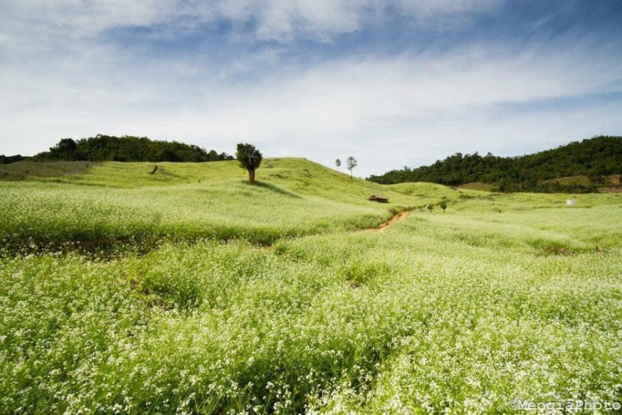 Cơ hội duy nhất sở hữu mảnh 5444m2 Bản Vặt, view lưng tựa núi, mặt bám suối