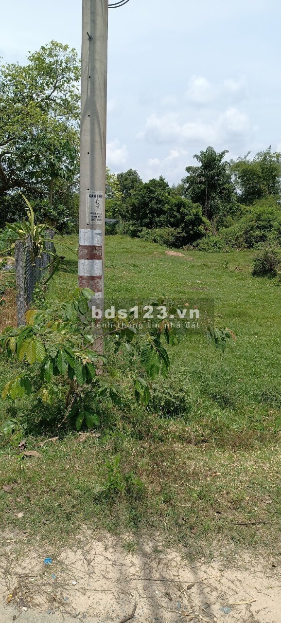 Cần bán đất đường nhựa 1/ Tỉnh Lộ 7 xã Thái Mỹ đất 2 mặt tiền 2400m2 1600thổ cư ngang 52m