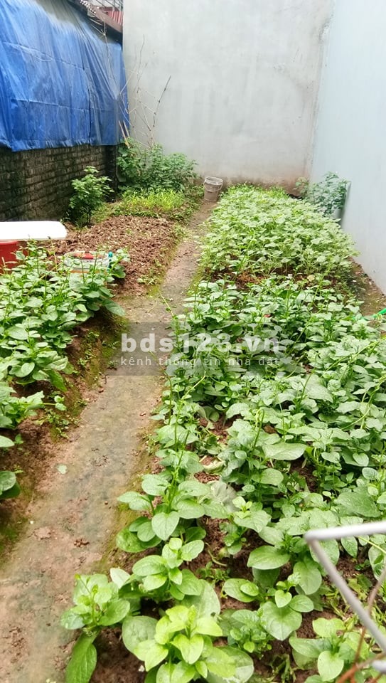 Chủ cần bán gấp đất Xuân Đỉnh 20m ô tô tránh ngõ thông Ngoại Giao Đoàng, giá 3.6 tỷ