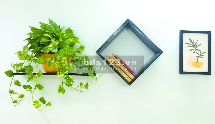 Chính chủ cho thuê chung cư mini dtsd 30m2 phun đồ Đỗ Đức Dục lh 0783 559922