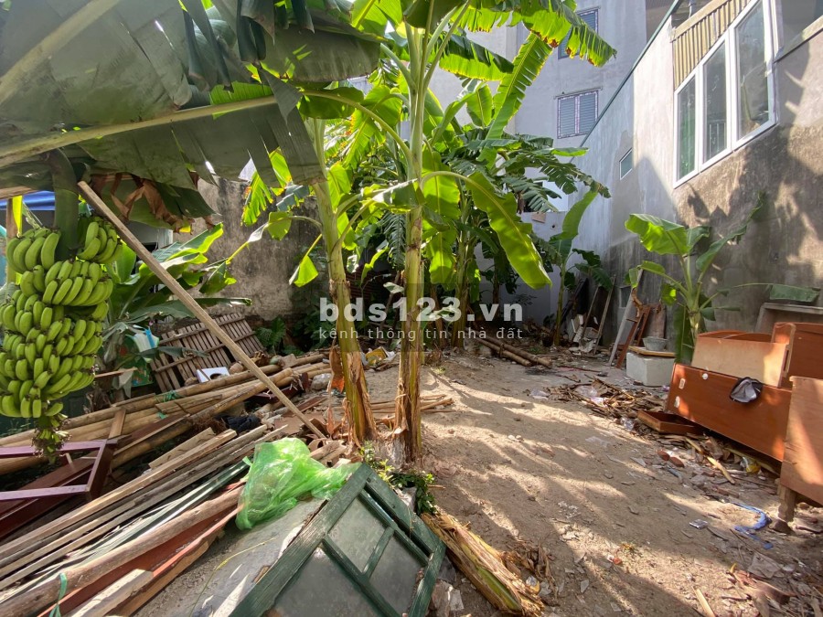 Bán đất Long Biên hàng xóm Mipec ô tô đỗ cổng giá bán 1.9 tỷ, ngõ rộng, ô tô đỗ cổng