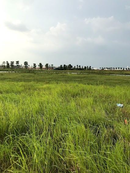 Bán đất nền shophouse mặt chung cư dtsd 102m2 giá bán 1.4 tỷ, dự án New City Phố Nối
