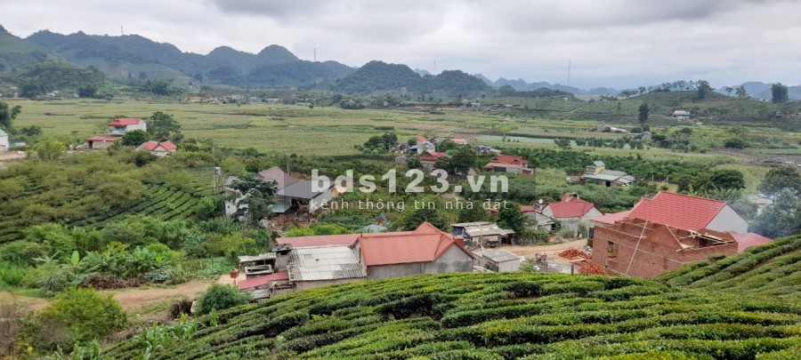 Đất nền nghỉ dưỡng Mộc Châu, cơ hội sở hữu căn nhà ngoại ô, giá thoả thuận