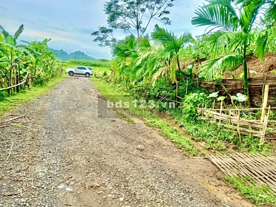 Bán đất view ruộng bậc thang, đỉnh cao của đất sinh thái tại Tân Lạ, giá tốt sổ sẵn