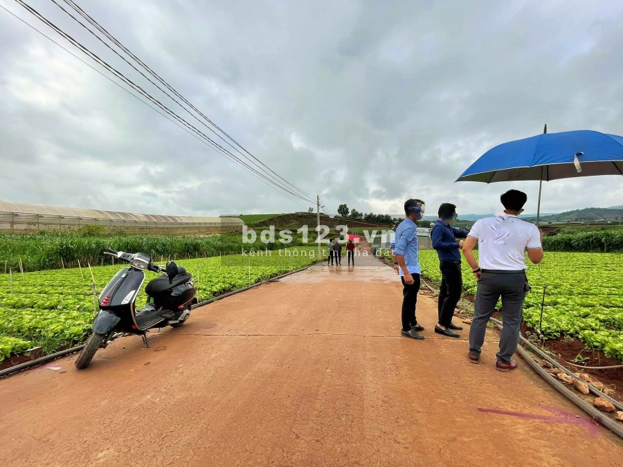 Bán lô đất chính chủ dtsd 420m2, view cao đường ô tô Nam Ban gí bán chỉ 590 triệu
