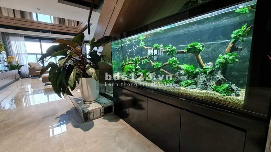Chuyển nhượng căn Penhouse 02 tầng Sunshine City Ciputra. DT 354m. MT 10m. Giá 26.5 Tỷ.