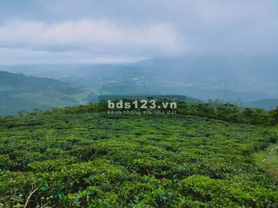 Đất mặt tiền đường nhựa 8m diện tích 100m2 giá 850 triệu bàn giao sổ hồng riêng
