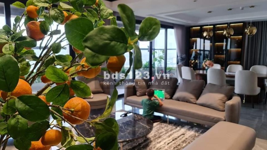 Chuyển nhượng căn Penhouse 02 tầng Sunshine City Ciputra. DT 354m. MT 10m. Giá 26.5 Tỷ.