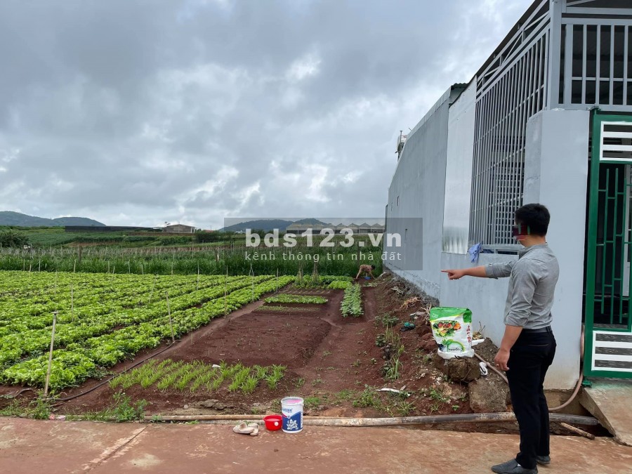 Bán lô đất chính chủ dtsd 420m2, view cao đường ô tô Nam Ban gí bán chỉ 590 triệu