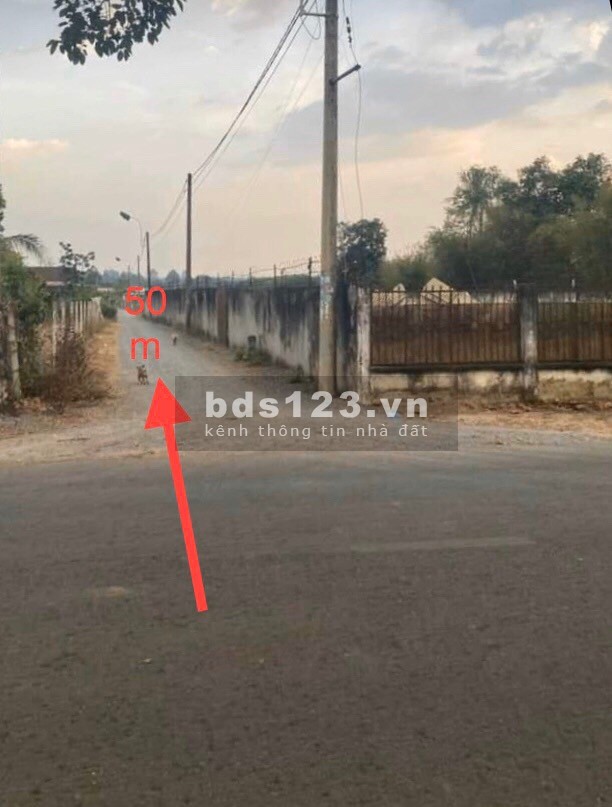 Cần bán đất xã Nhuận Đức 1/ đường Nhuận Đức vô 50m DT 64x30 2000m2 có 200 thổ cư