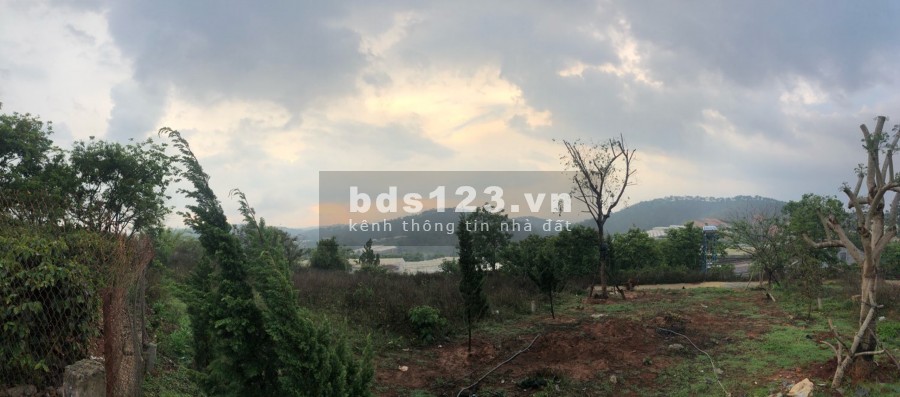 Cần bán biệt thự đẹp giá tốt view 4 mặt thoáng thành phố Đà Lạt giá chỉ: