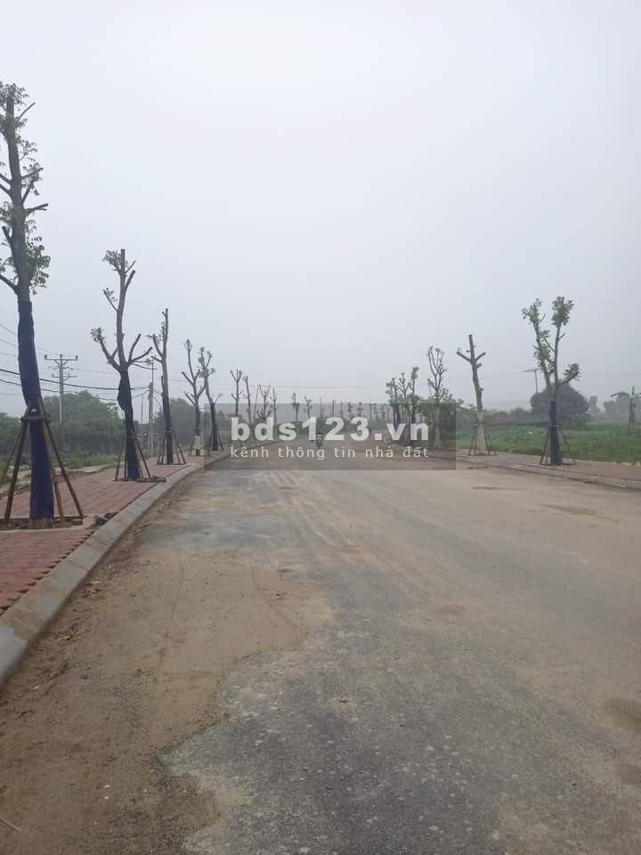 Làm ăn thua lỗ chủ nhà cần tiền trả nợ bán gấp lô đất trung tâm Xã Tự Nhiên. Giá bèo