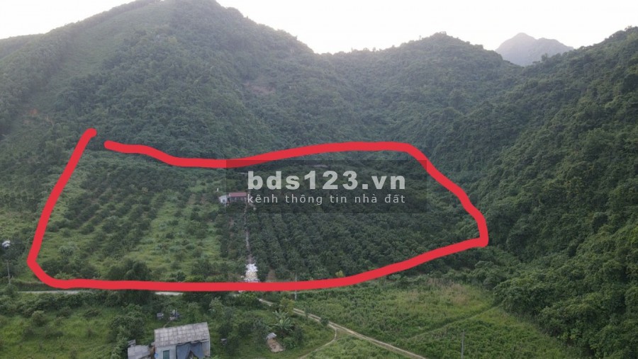 Chính chủ cần tiền bán gấp lô đất diện tích 38.255m2 tại Cao Sơn, Lương Sơn, Hoà Bình