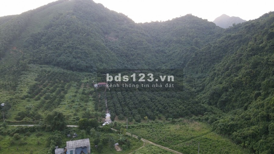 Chính chủ cần tiền bán gấp lô đất diện tích 38.255m2 tại Cao Sơn, Lương Sơn, Hoà Bình