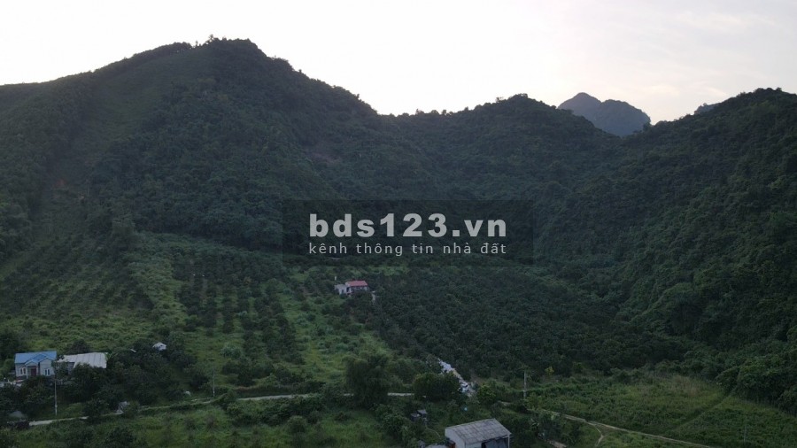 Chính chủ cần tiền bán gấp lô đất diện tích 38.255m2 tại Cao Sơn, Lương Sơn, Hoà Bình