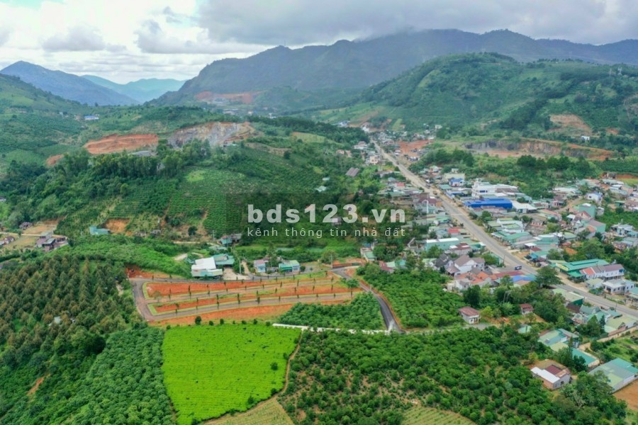 Khu nghĩ dưỡng phong cách Nhật tại Bảo Lộc, 2 mặt tiền, cách QL20 chỉ 100m, đã có sổ riêng.