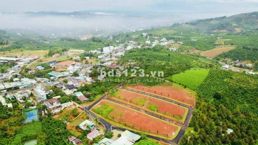 Khu nghĩ dưỡng phong cách Nhật tại Bảo Lộc, 2 mặt tiền, cách QL20 chỉ 100m, đã có sổ riêng.