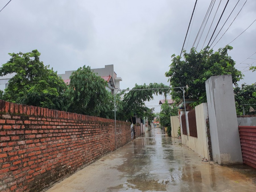 Cần bán 55m3 tại thôn Đông Bài, Mai Đình, Sóc Sơn giá đầu tư chỉ với 550tr là sở hữu lh 0826111266