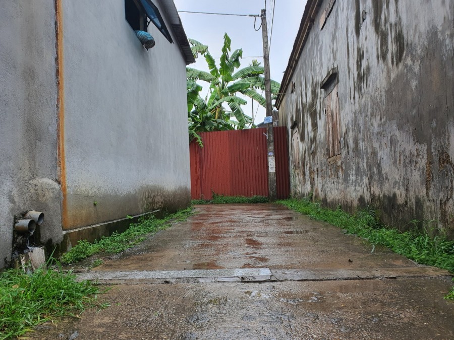Cần bán 55m3 tại thôn Đông Bài, Mai Đình, Sóc Sơn giá đầu tư chỉ với 550tr là sở hữu lh 0826111266