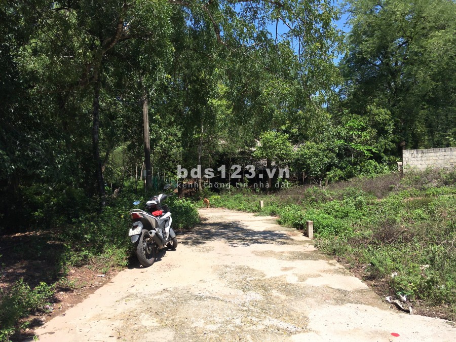 Đất Kiệt Ô Tô,Kiệt 69 Lê Ngô Cát Thông Kiệt 103 Lê Ngô Cát Giá Rẻ