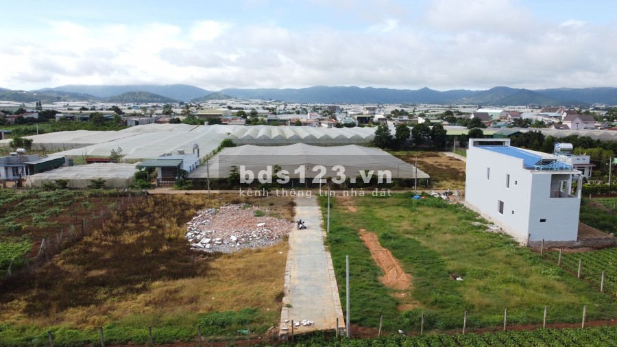 Đầu tư đất nền Đơn Dương-Lâm Đồng chỉ từ 482tr-Sổ riêng-Sẵn 72m2 thổ cư