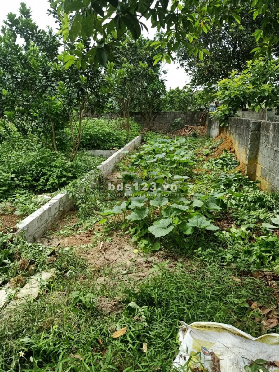 Bán đất Quốc Oai, đất đẹp làm kho, xưởng cực hiếm, diện tích 500m2, giá bán nhanh 1,7 tỷ