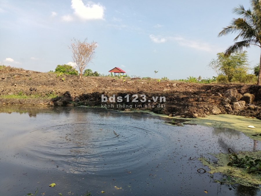 Ngộp bank bán gấp 2.7ha giá chỉ 199triệu/1000m2 đất nghĩ dưỡng Định Quán Đồng Nai