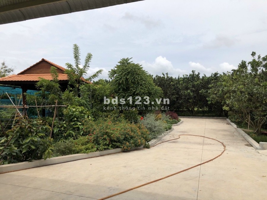 Cần bán nhà vườn view kênh Đông xã Trung Lập Thượng diện tích 8000m2 có nhà ở kiên cố